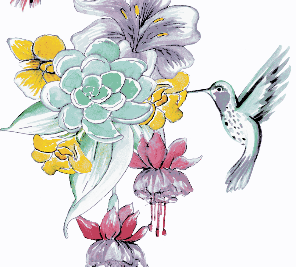 Screen Shot 2017-09-22 at 10.56.36 AM