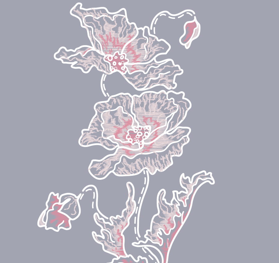 Screen Shot 2017-09-22 at 12.03.35 PM