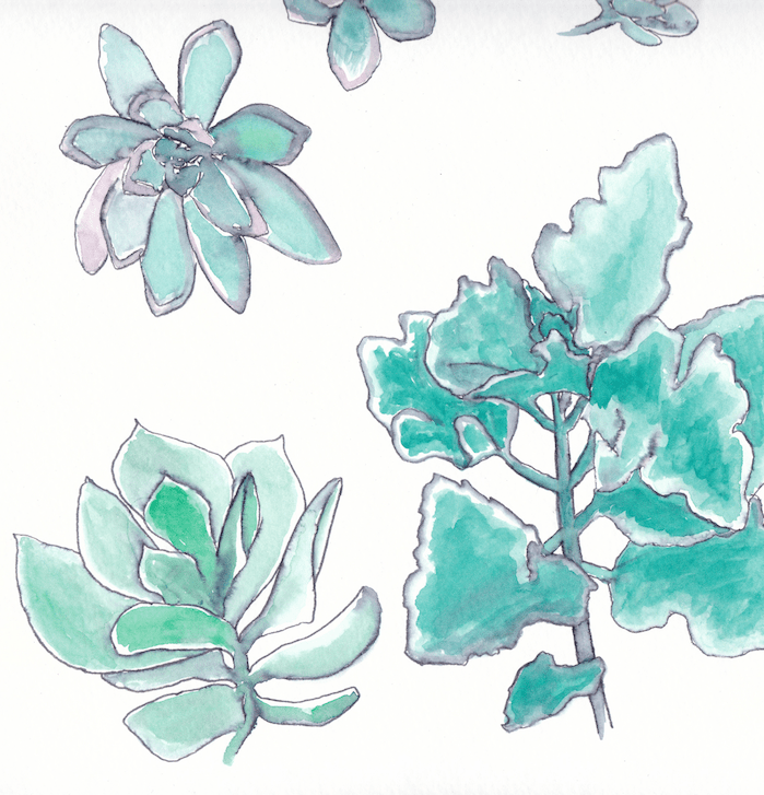 Screen Shot 2017-10-20 at 4.29.59 PM