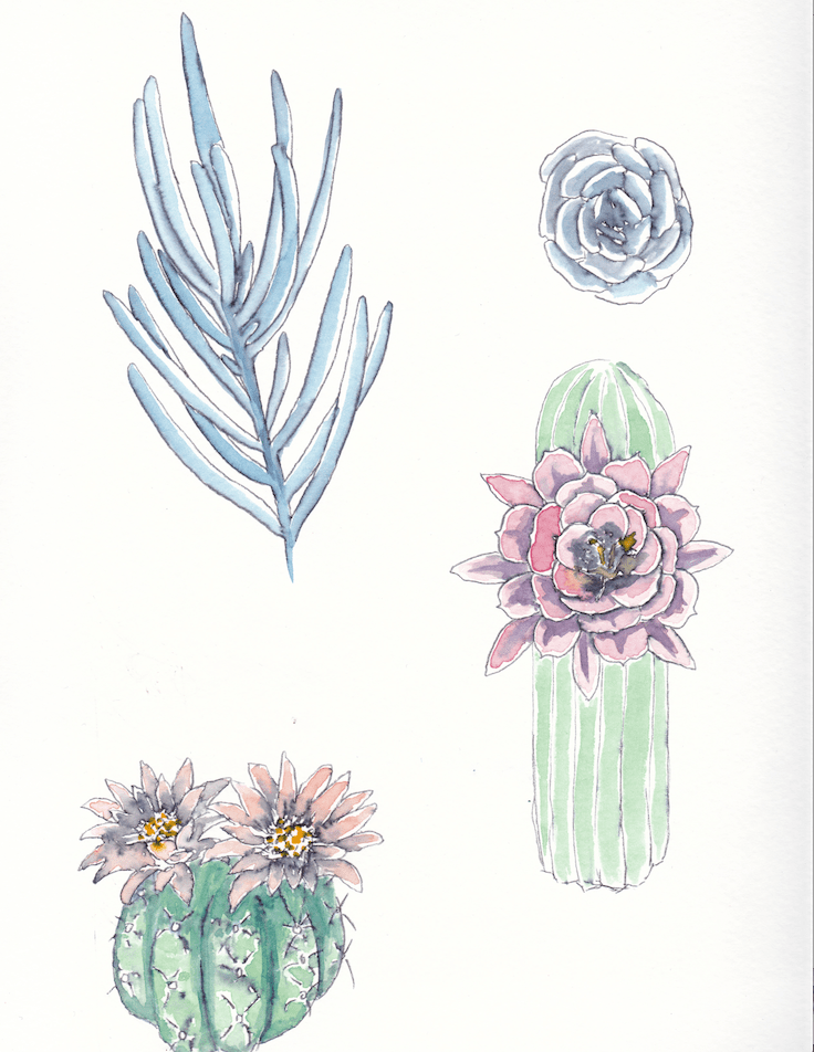 Screen Shot 2017-10-20 at 4.30.26 PM